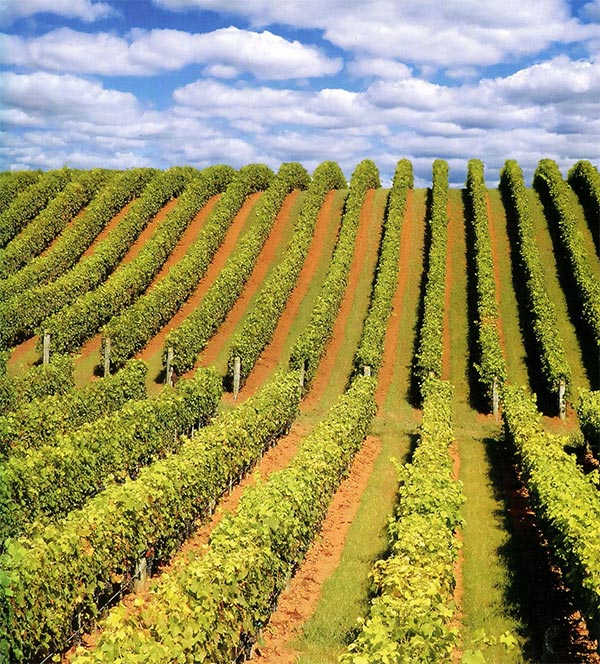 20170728115336741 20170728115336741